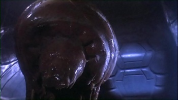 Скриншоты порно фильмах