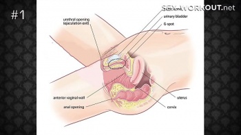 Порно видео как начать анально