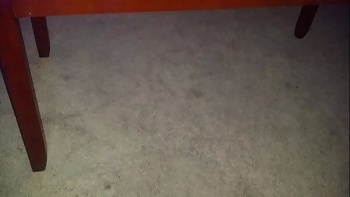 От первой брачной ночи отказывается большинство амител