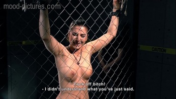 Элитный секс