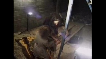 Изнасилованное порно