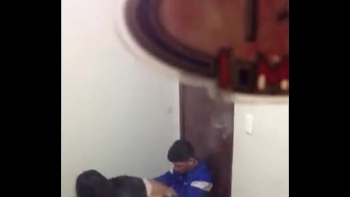 Поно сиськи